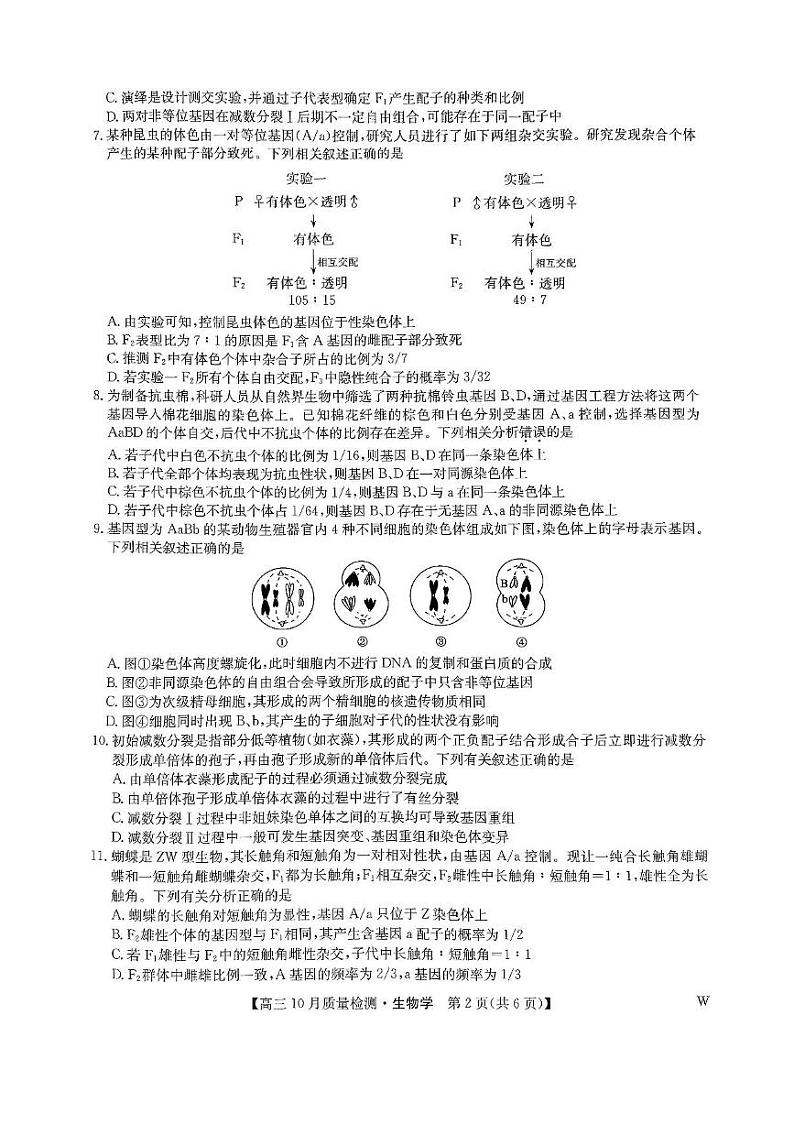 2024-2025学年九师联盟高三上学期10月期中联考生物试卷及答案02