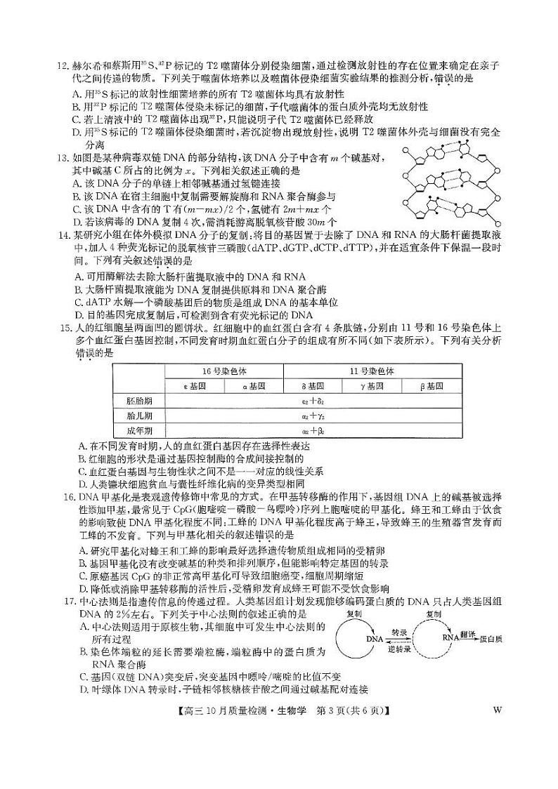 2024-2025学年九师联盟高三上学期10月期中联考生物试卷及答案03