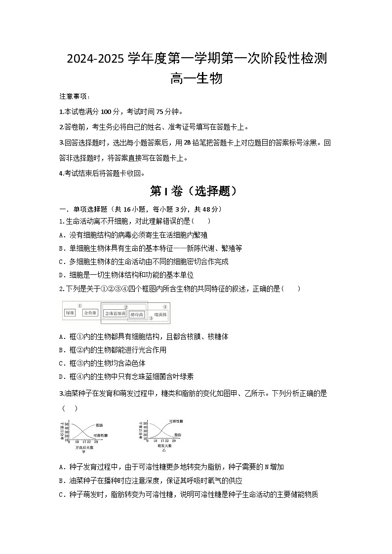 陕西省西安市部分学校联考2024-2025学年高一上学期10月月考试卷生物（含答案）01