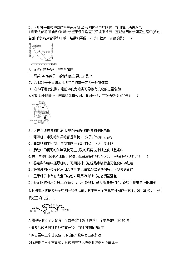 陕西省西安市部分学校联考2024-2025学年高一上学期10月月考试卷生物（含答案）02