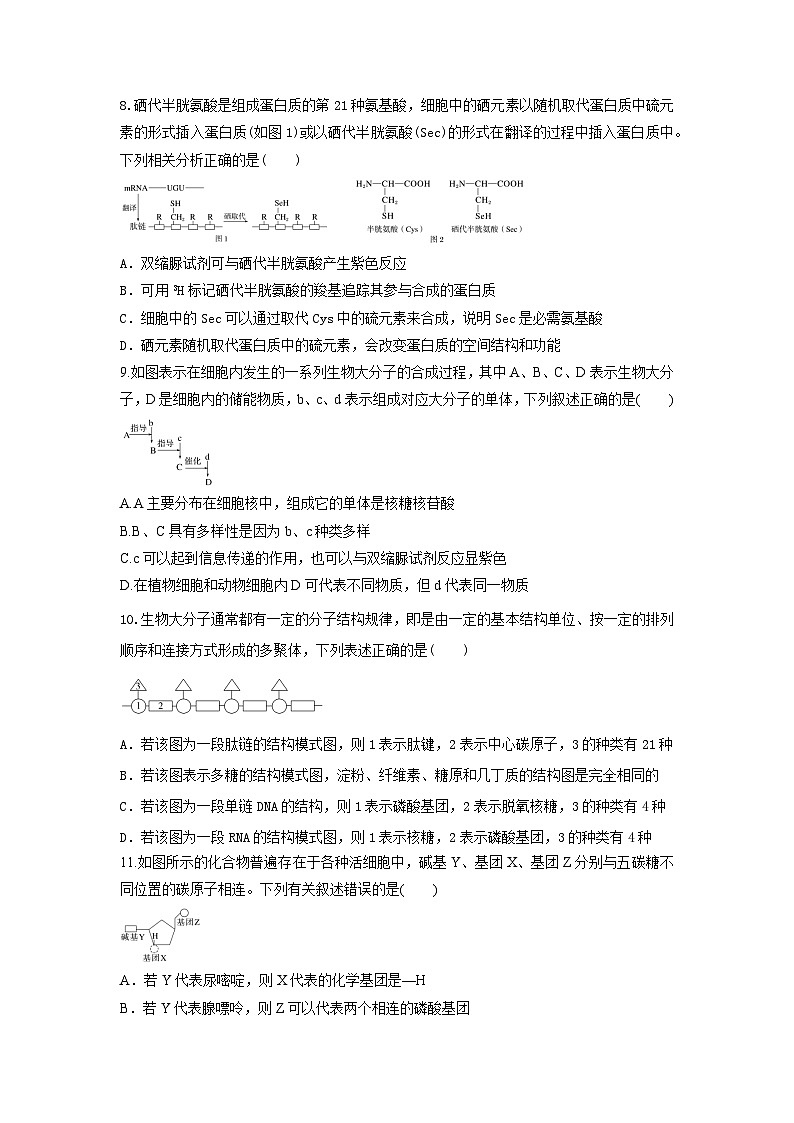 陕西省西安市部分学校联考2024-2025学年高一上学期10月月考试卷生物（含答案）03