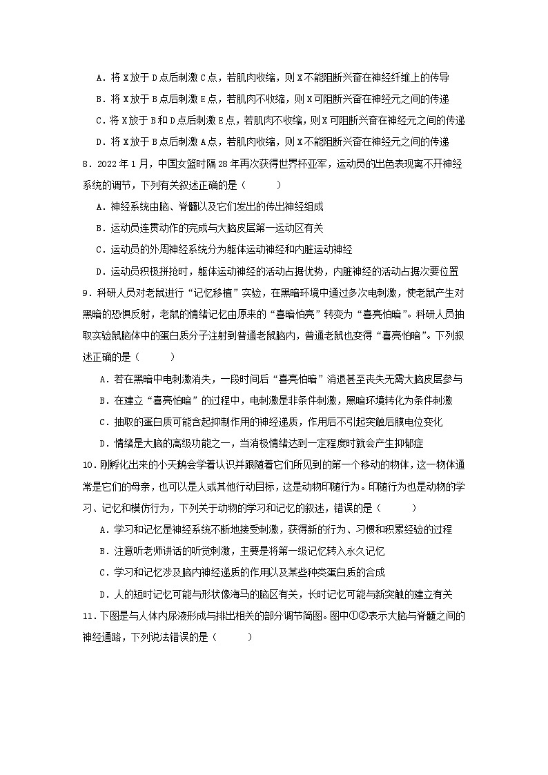 辽宁省沈阳市第二中学2024-2025学年高二上学期10月月考生物试卷03