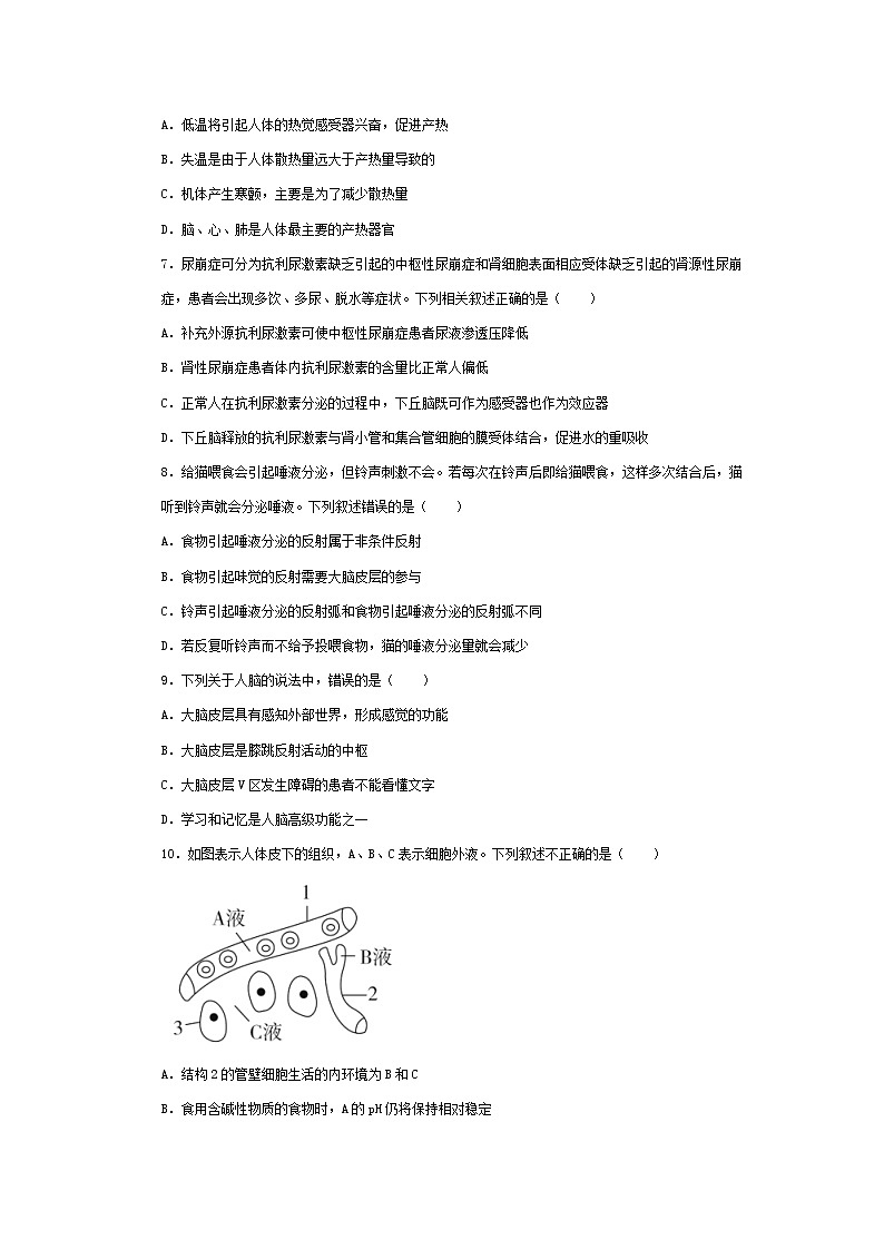 四川省达州市通川区达州新世纪学校-2024-2025学年高二上学期10月考试生物试卷第2页