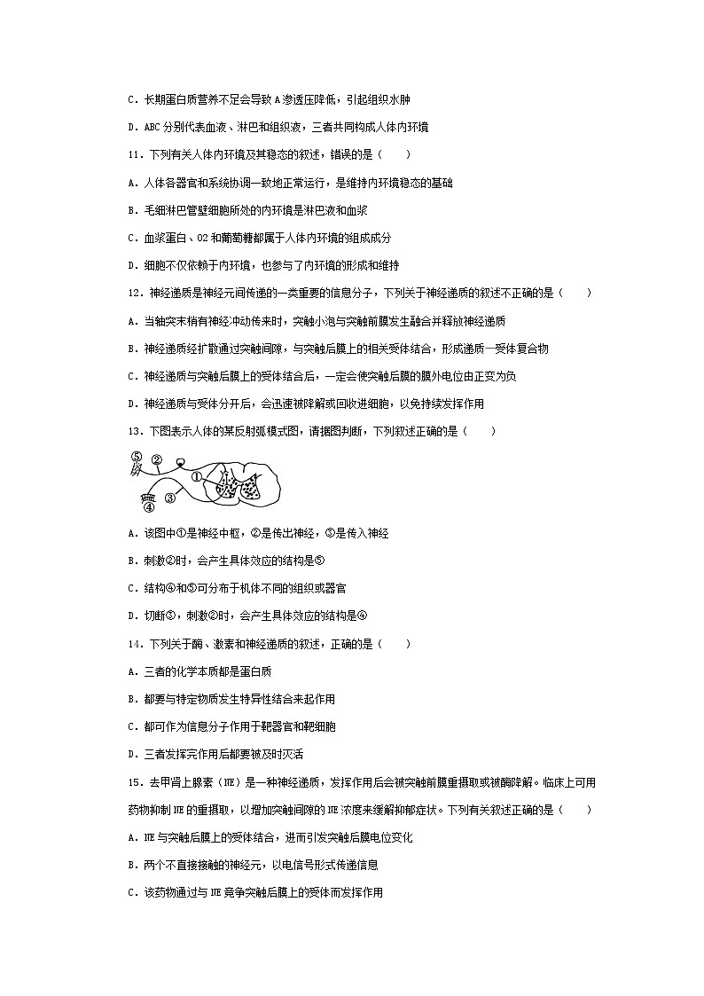 四川省达州市通川区达州新世纪学校-2024-2025学年高二上学期10月考试生物试卷第3页