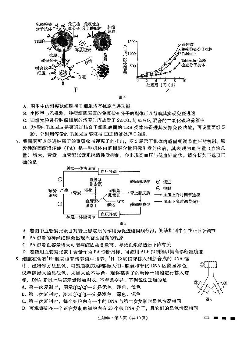 重庆市第八中学2025届高考适应性月考卷（二）生物第3页
