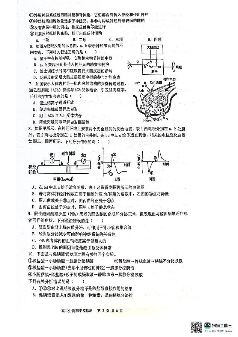 江苏省南京市玄武区南京市第十三中学2024-2025学年高二上学期10月期中生物试题第2页