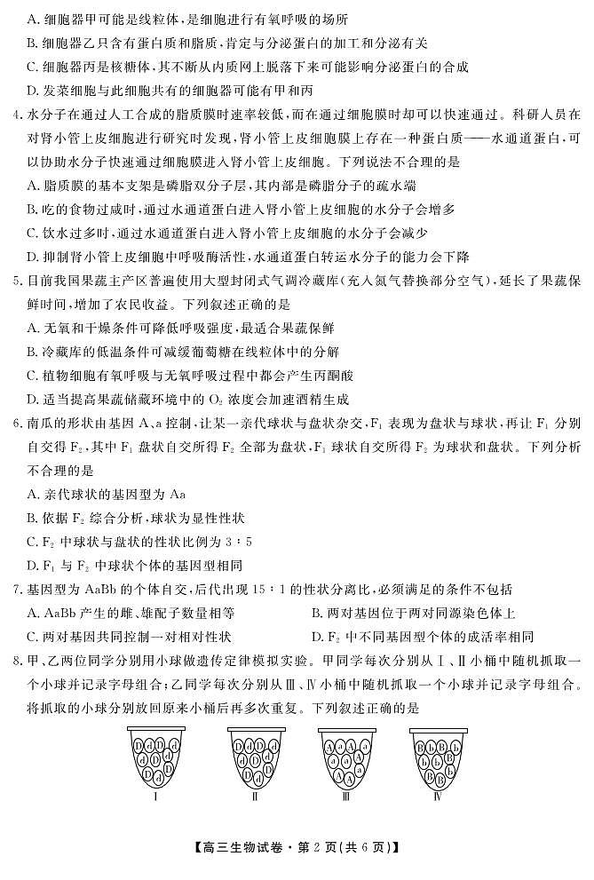 安徽省六安市叶集区叶集皖西当代中学2024-2025学年高三上学期10月月考生物试题第2页