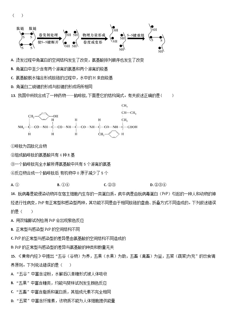 吉林省通化市梅河口市梅河口市第五中学2024-2025学年高一上学期10月期中生物试题第3页