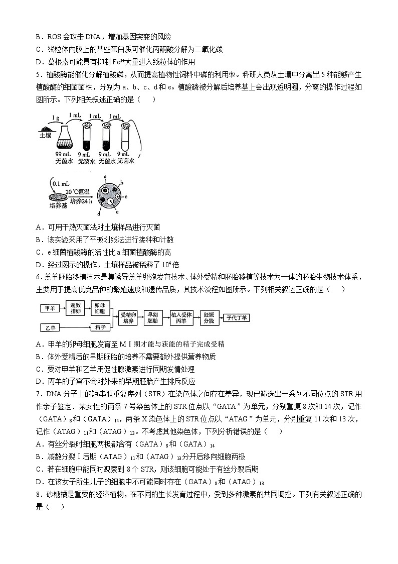 广东省部分学校2025届高三上学期期中联考生物试题第2页