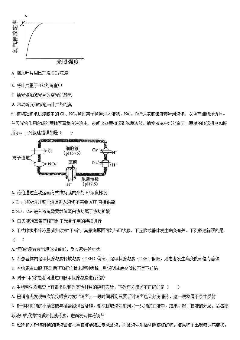 吉林省通化市梅河口市梅河口市第五中学2024-2025学年高二上学期10月期中生物试题第2页