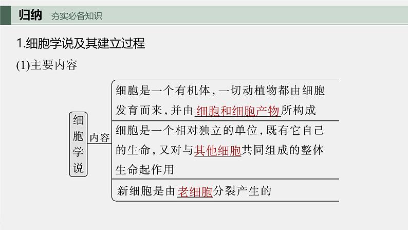 （新人教版）高考生物一轮复习讲义课件 第1单元　第1课时　走近细胞（含解析）第5页