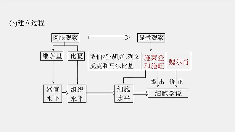 （新人教版）高考生物一轮复习讲义课件 第1单元　第1课时　走近细胞（含解析）第7页