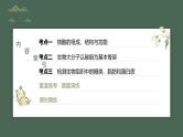 （新人教版）高考生物一轮复习讲义课件 第1单元　第4课时　核酸是遗传信息的携带者、有机物的鉴定（含解析）