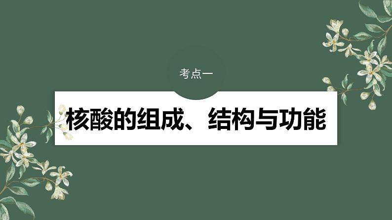 （新人教版）高考生物一轮复习讲义课件 第1单元　第4课时　核酸是遗传信息的携带者、有机物的鉴定（含解析）第4页