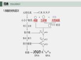 （新人教版）高考生物一轮复习讲义课件 第1单元　第4课时　核酸是遗传信息的携带者、有机物的鉴定（含解析）