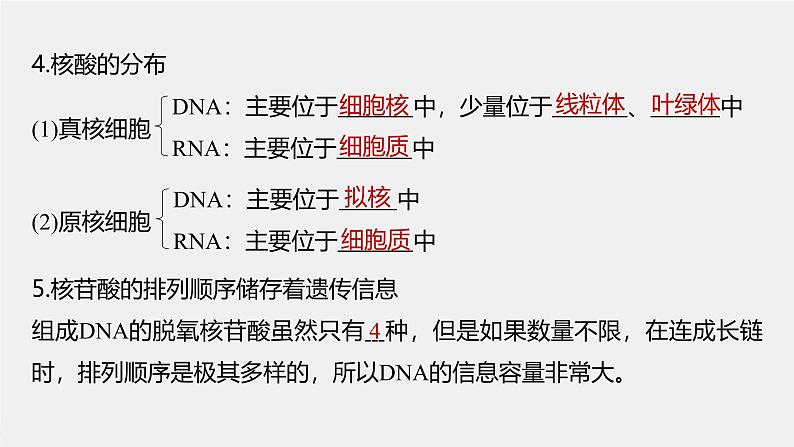 （新人教版）高考生物一轮复习讲义课件 第1单元　第4课时　核酸是遗传信息的携带者、有机物的鉴定（含解析）第7页