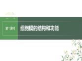 （新人教版）高考生物一轮复习讲义课件 第2单元　第1课时　细胞膜的结构和功能（含解析）