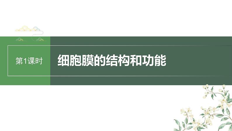 （新人教版）高考生物一轮复习讲义课件 第2单元　第1课时　细胞膜的结构和功能（含解析）第1页