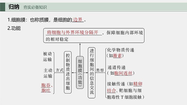 （新人教版）高考生物一轮复习讲义课件 第2单元　第1课时　细胞膜的结构和功能（含解析）第5页