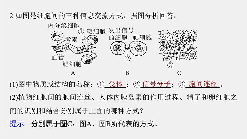 （新人教版）高考生物一轮复习讲义课件 第2单元　第1课时　细胞膜的结构和功能（含解析）第8页