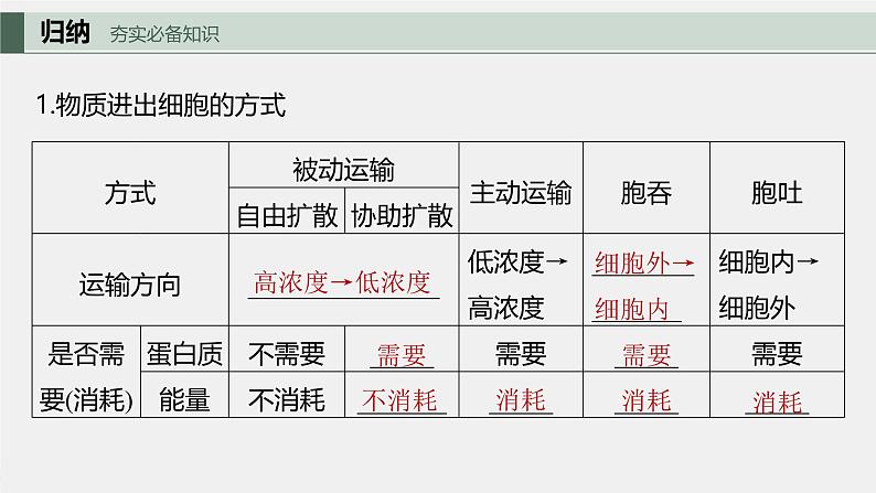 （新人教版）高考生物一轮复习讲义课件 第2单元　第5课时　物质出入细胞的方式及影响因素（含解析）第5页