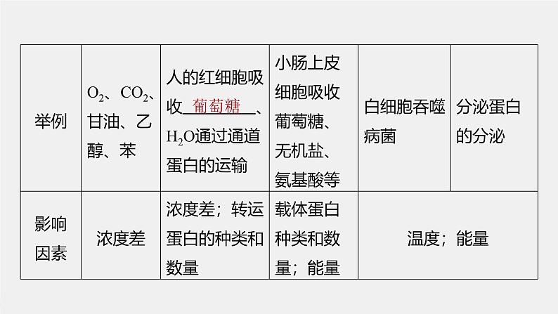 （新人教版）高考生物一轮复习讲义课件 第2单元　第5课时　物质出入细胞的方式及影响因素（含解析）第7页