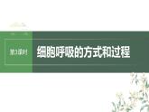（新人教版）高考生物一轮复习讲义课件 第3单元　第3课时　细胞呼吸的方式和过程（含解析）