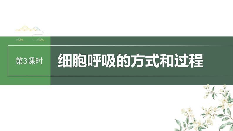 （新人教版）高考生物一轮复习讲义课件 第3单元　第3课时　细胞呼吸的方式和过程（含解析）第1页