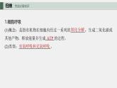 （新人教版）高考生物一轮复习讲义课件 第3单元　第3课时　细胞呼吸的方式和过程（含解析）