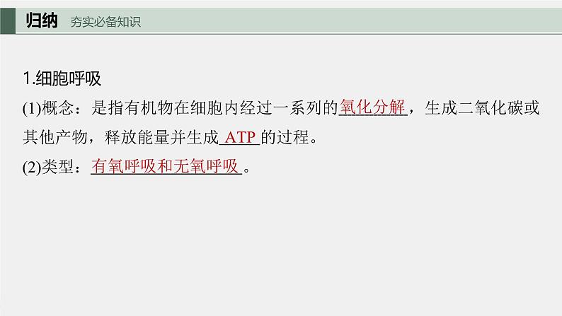 （新人教版）高考生物一轮复习讲义课件 第3单元　第3课时　细胞呼吸的方式和过程（含解析）第5页