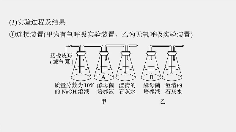 （新人教版）高考生物一轮复习讲义课件 第3单元　第3课时　细胞呼吸的方式和过程（含解析）第7页