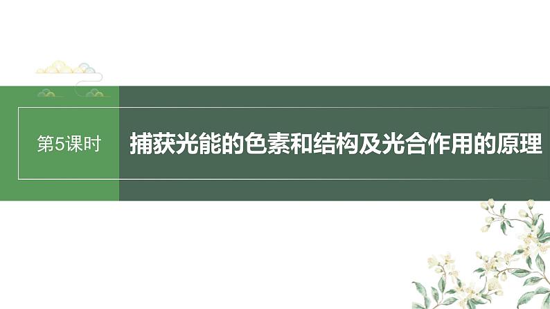 （新人教版）高考生物一轮复习讲义课件 第3单元　第5课时　捕获光能的色素和结构及光合作用的原理（含解析）第1页