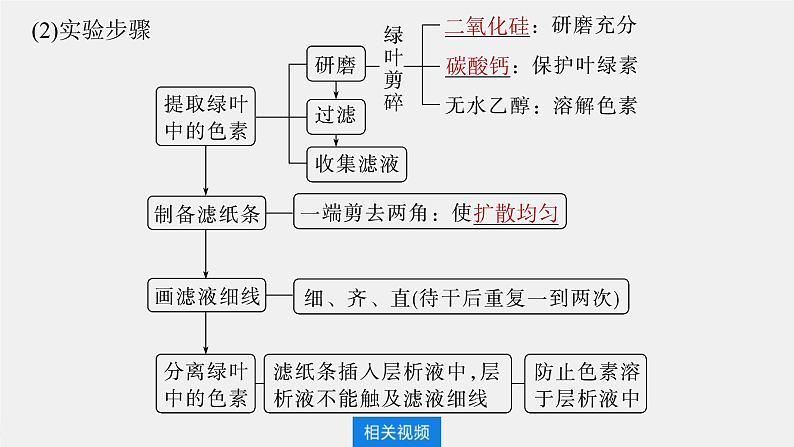 （新人教版）高考生物一轮复习讲义课件 第3单元　第5课时　捕获光能的色素和结构及光合作用的原理（含解析）第6页