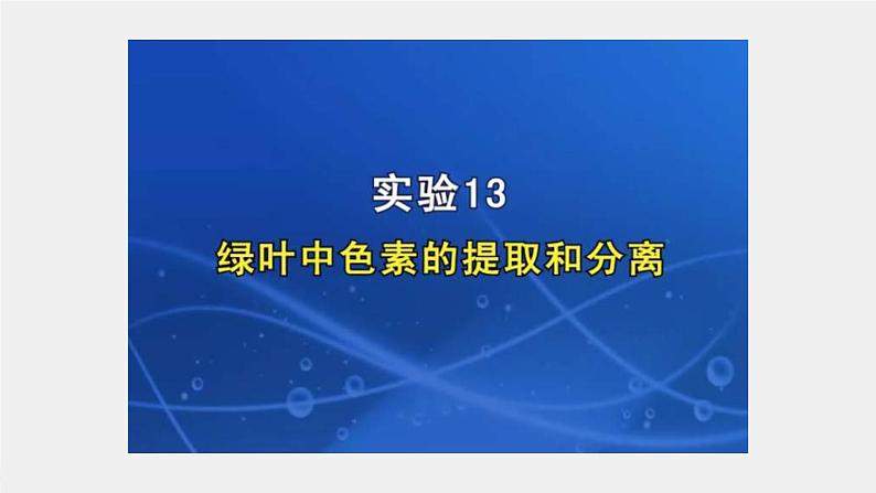 （新人教版）高考生物一轮复习讲义课件 第3单元　第5课时　捕获光能的色素和结构及光合作用的原理（含解析）第7页