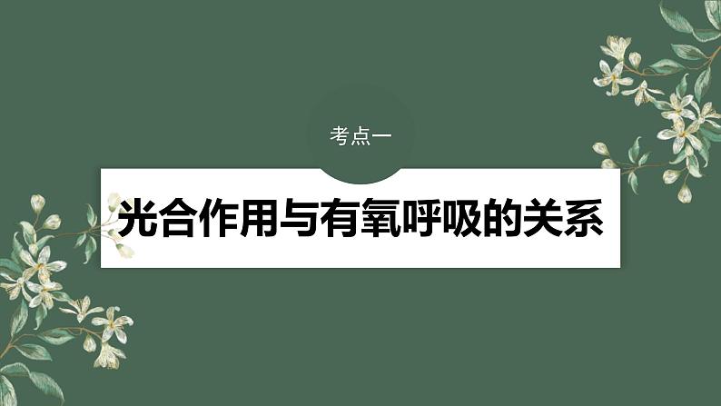 （新人教版）高考生物一轮复习讲义课件 第3单元　第7课时　光合作用和细胞呼吸的综合分析（含解析）第4页