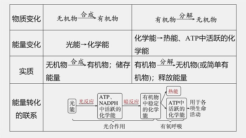 （新人教版）高考生物一轮复习讲义课件 第3单元　第7课时　光合作用和细胞呼吸的综合分析（含解析）第7页