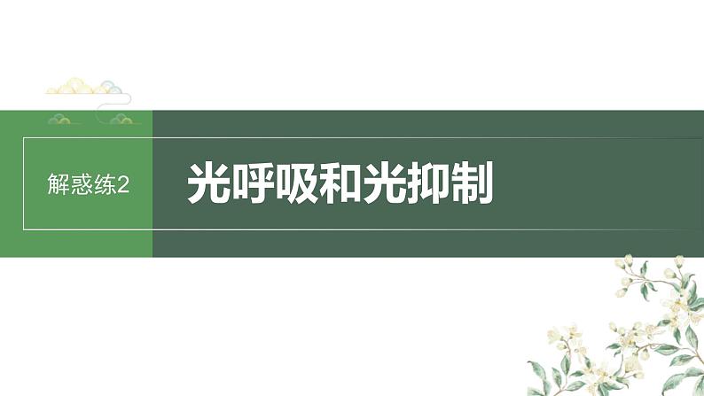 （新人教版）高考生物一轮复习讲义课件 第3单元　解惑练2　光呼吸和光抑制（含解析）第1页