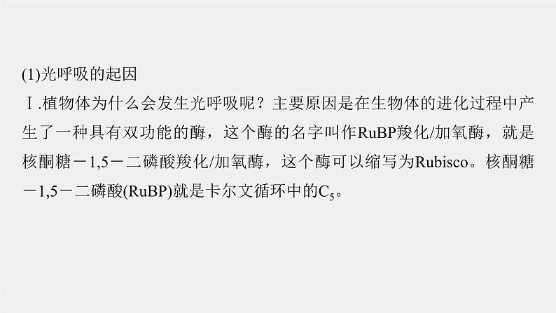 （新人教版）高考生物一轮复习讲义课件 第3单元　解惑练2　光呼吸和光抑制（含解析）第3页