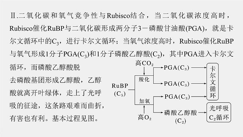 （新人教版）高考生物一轮复习讲义课件 第3单元　解惑练2　光呼吸和光抑制（含解析）第4页