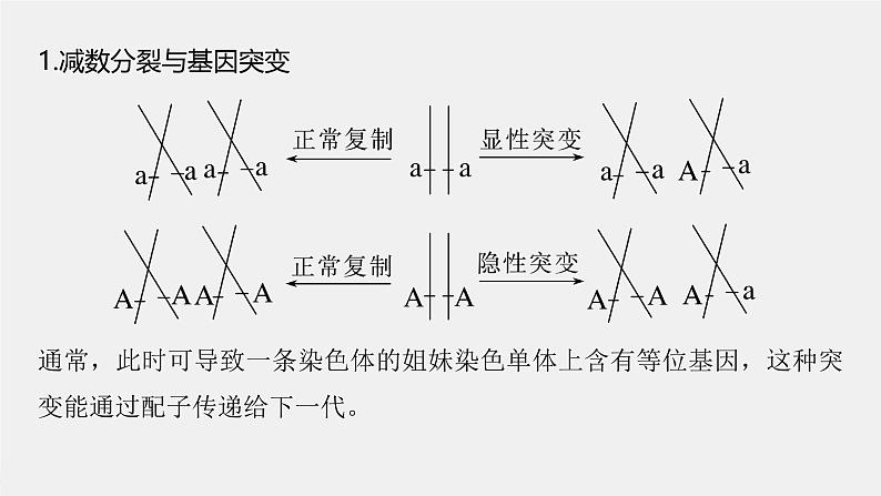 （新人教版）高考生物一轮复习讲义课件 第四单元　微专题三　减数分裂与可遗传变异的关系（含解析）02