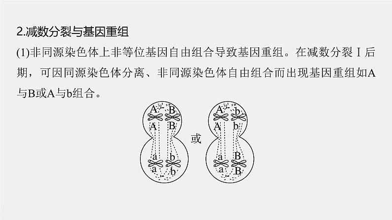 （新人教版）高考生物一轮复习讲义课件 第四单元　微专题三　减数分裂与可遗传变异的关系（含解析）03