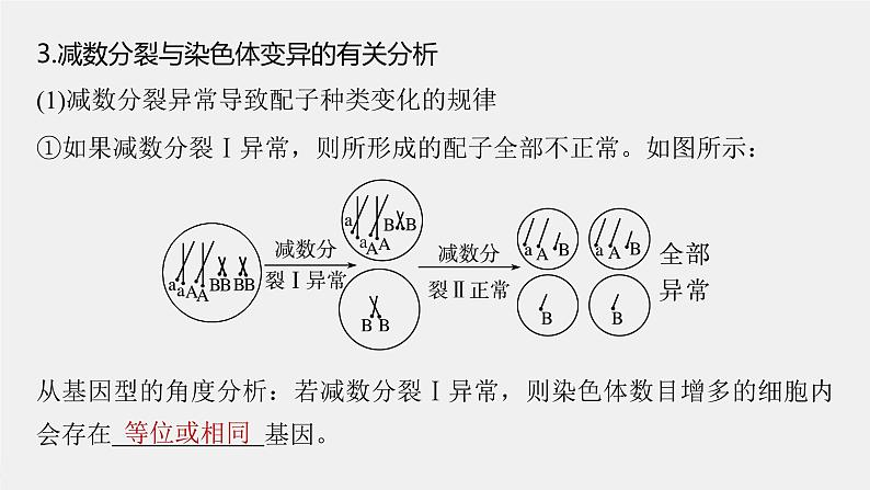 （新人教版）高考生物一轮复习讲义课件 第四单元　微专题三　减数分裂与可遗传变异的关系（含解析）06