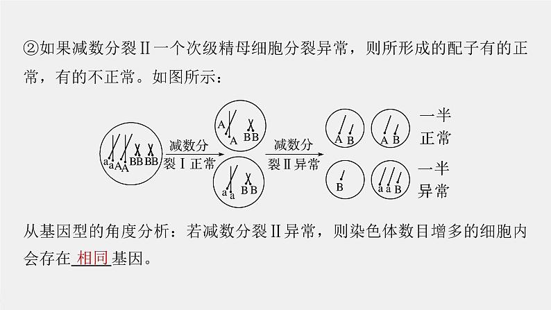 （新人教版）高考生物一轮复习讲义课件 第四单元　微专题三　减数分裂与可遗传变异的关系（含解析）07