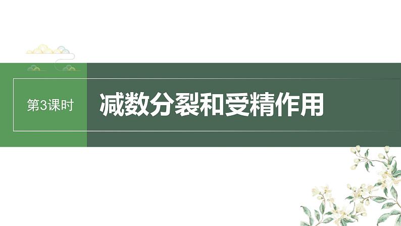 （新人教版）高考生物一轮复习讲义课件 第4单元　第3课时　减数分裂和受精作用（含解析）01