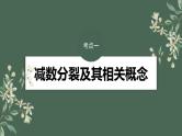 （新人教版）高考生物一轮复习讲义课件 第4单元　第3课时　减数分裂和受精作用（含解析）