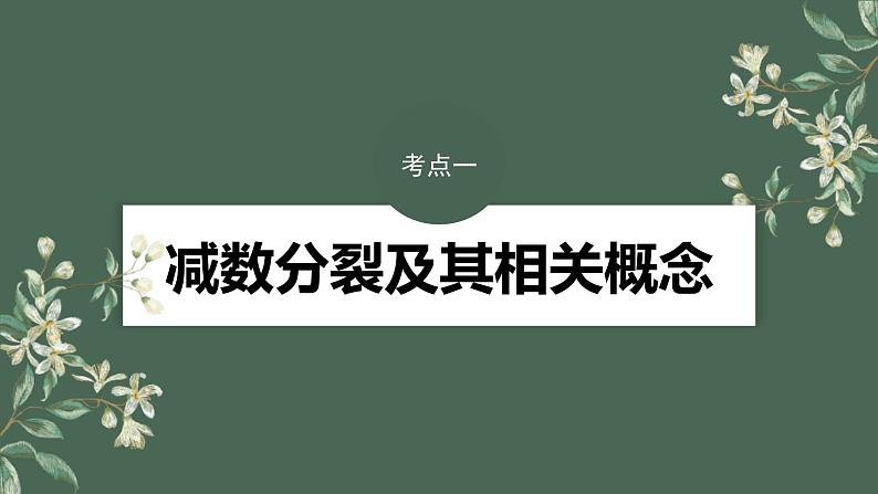 （新人教版）高考生物一轮复习讲义课件 第4单元　第3课时　减数分裂和受精作用（含解析）04