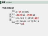 （新人教版）高考生物一轮复习讲义课件 第4单元　第3课时　减数分裂和受精作用（含解析）