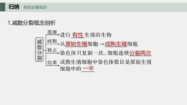 （新人教版）高考生物一轮复习讲义课件 第4单元　第3课时　减数分裂和受精作用（含解析）05