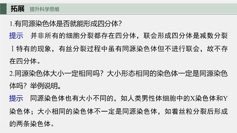 （新人教版）高考生物一轮复习讲义课件 第4单元　第3课时　减数分裂和受精作用（含解析）08