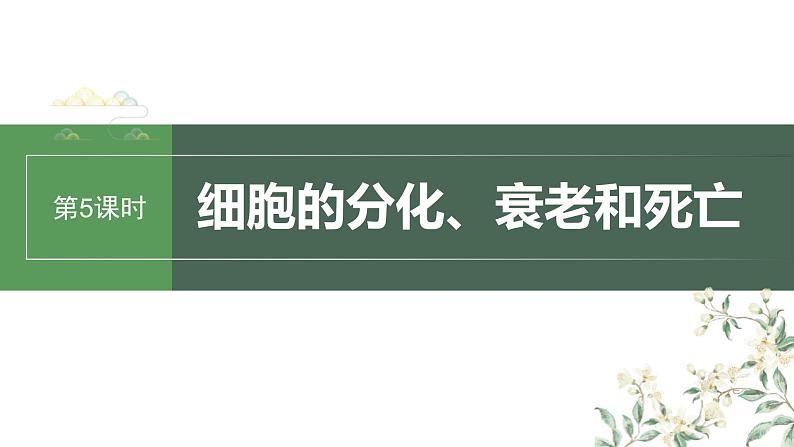 （新人教版）高考生物一轮复习讲义课件 第4单元　第5课时　细胞的分化、衰老和死亡（含解析）01